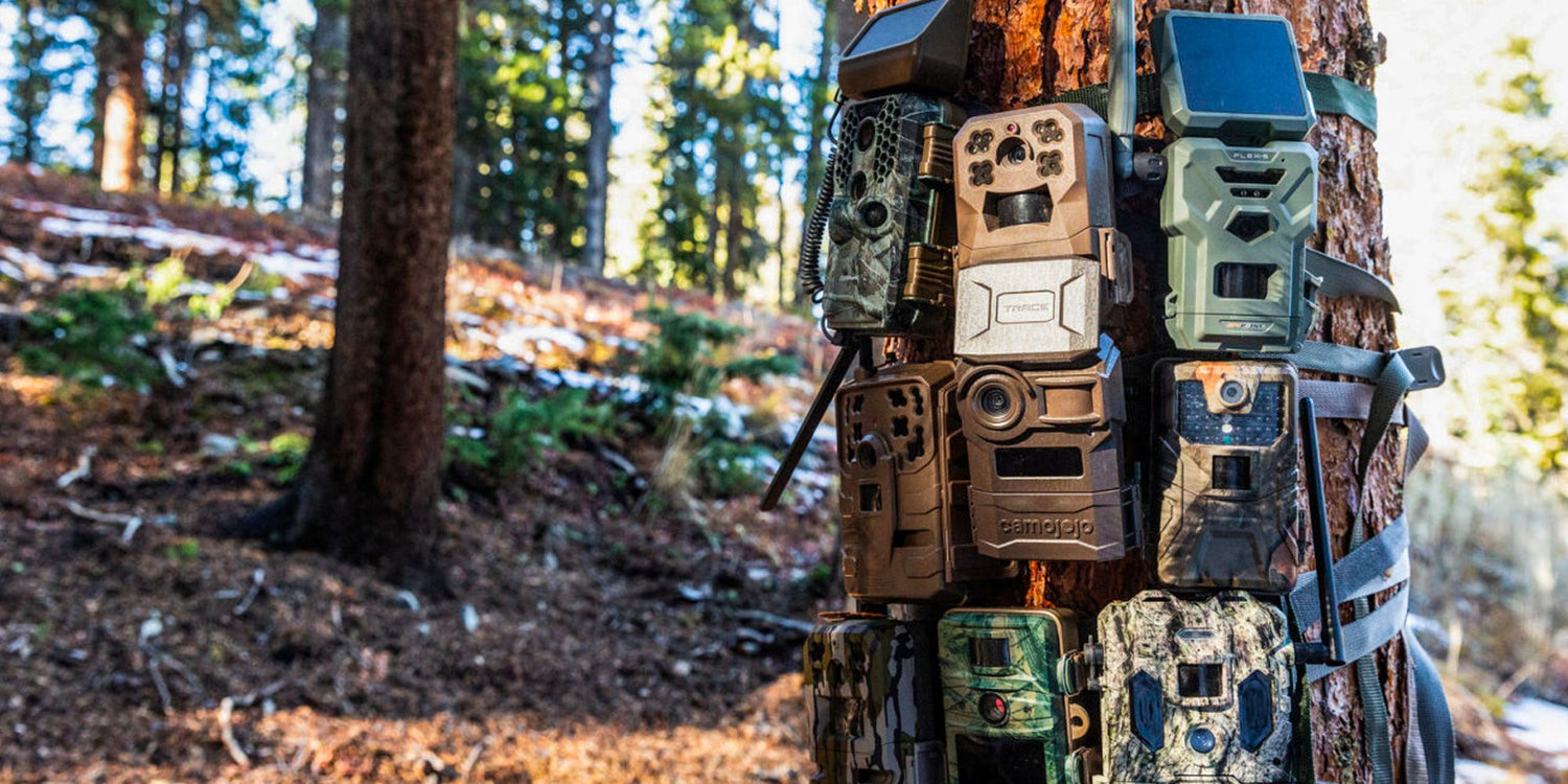 Trail Cameras